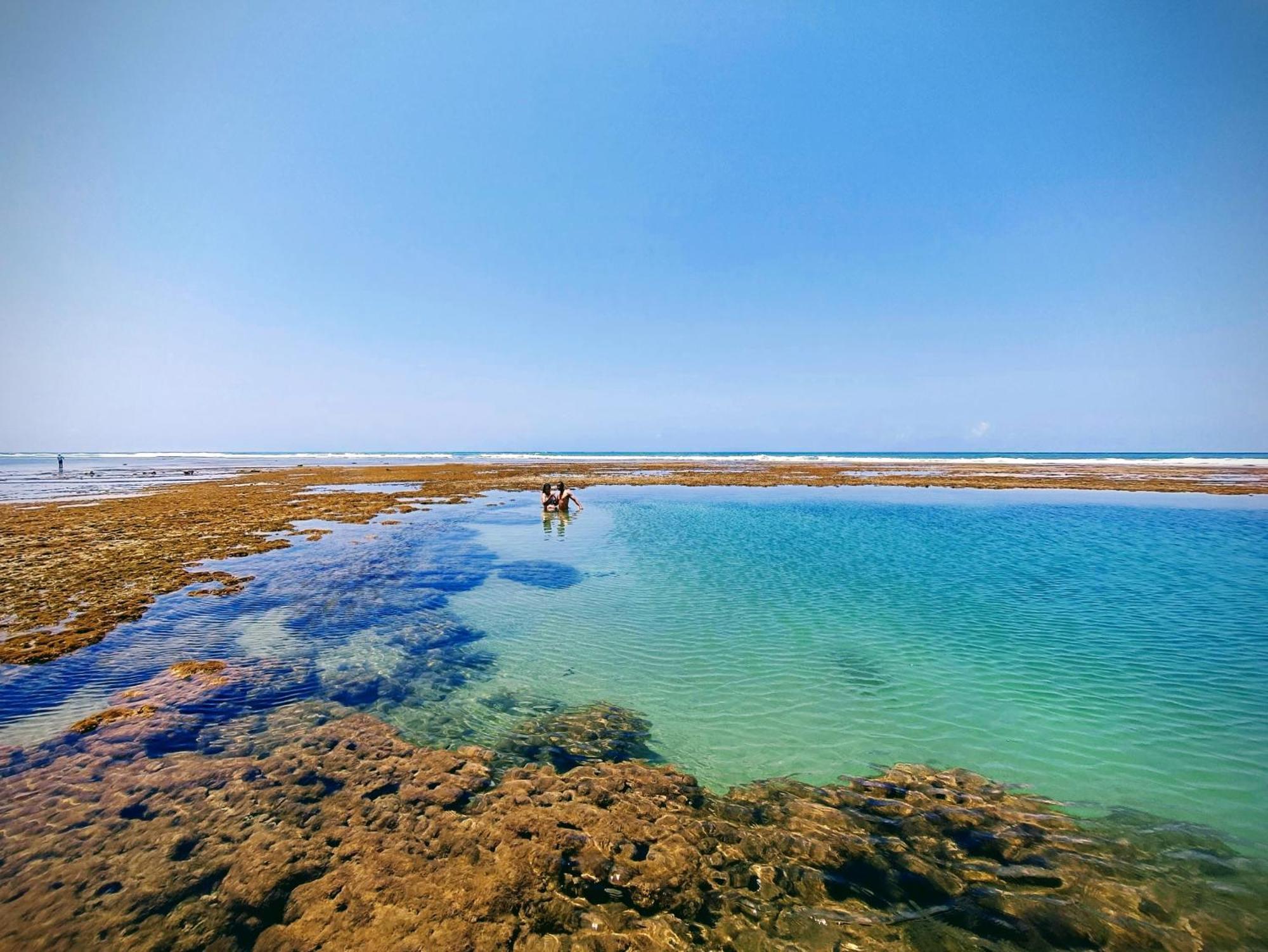 Piscinas Naturais De Praia Do Forte Kültér fotó